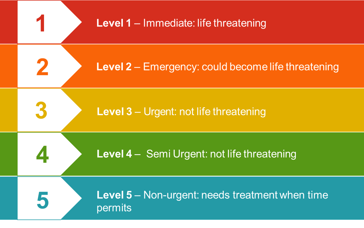 Triage Color Code System